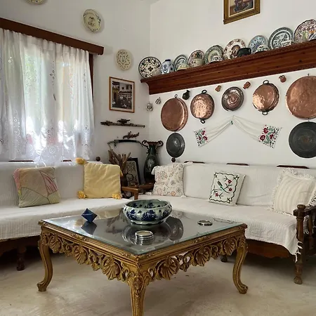 Seaside Vina Holiday House Σπίτι διακοπών Σκύρος